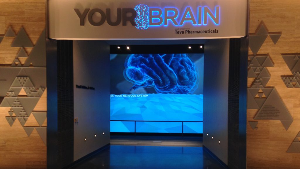 The Franklin Institute Your Brain Exhibit