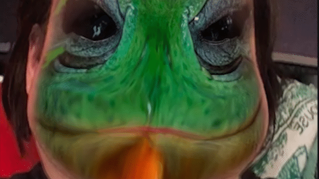 Animated gif of Snap AR frog Lens